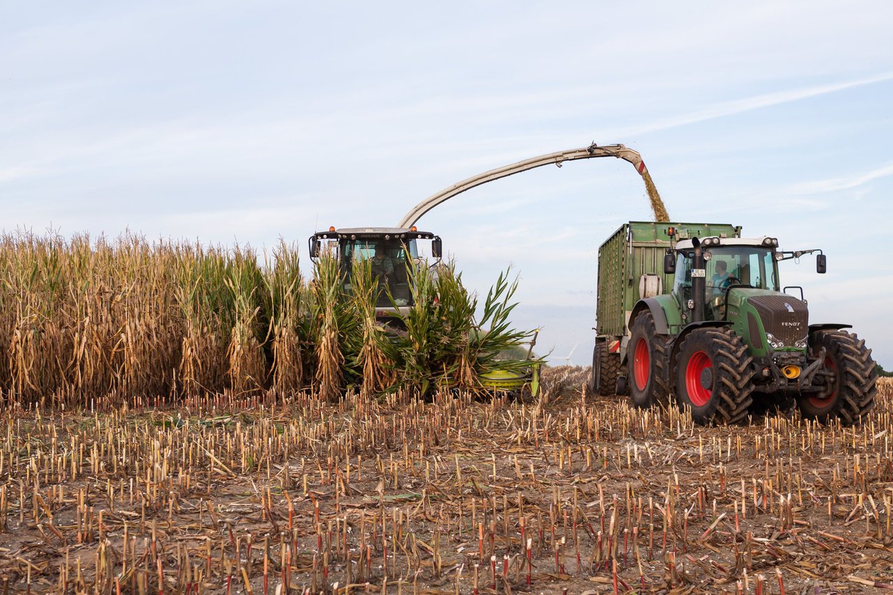 Bild 90 - Maisernte 2016